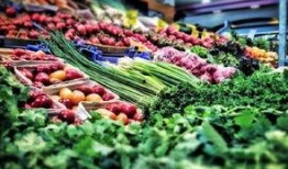 皇后吃蔬菜爆料视频播放,揭秘宫廷饮食文化新视角